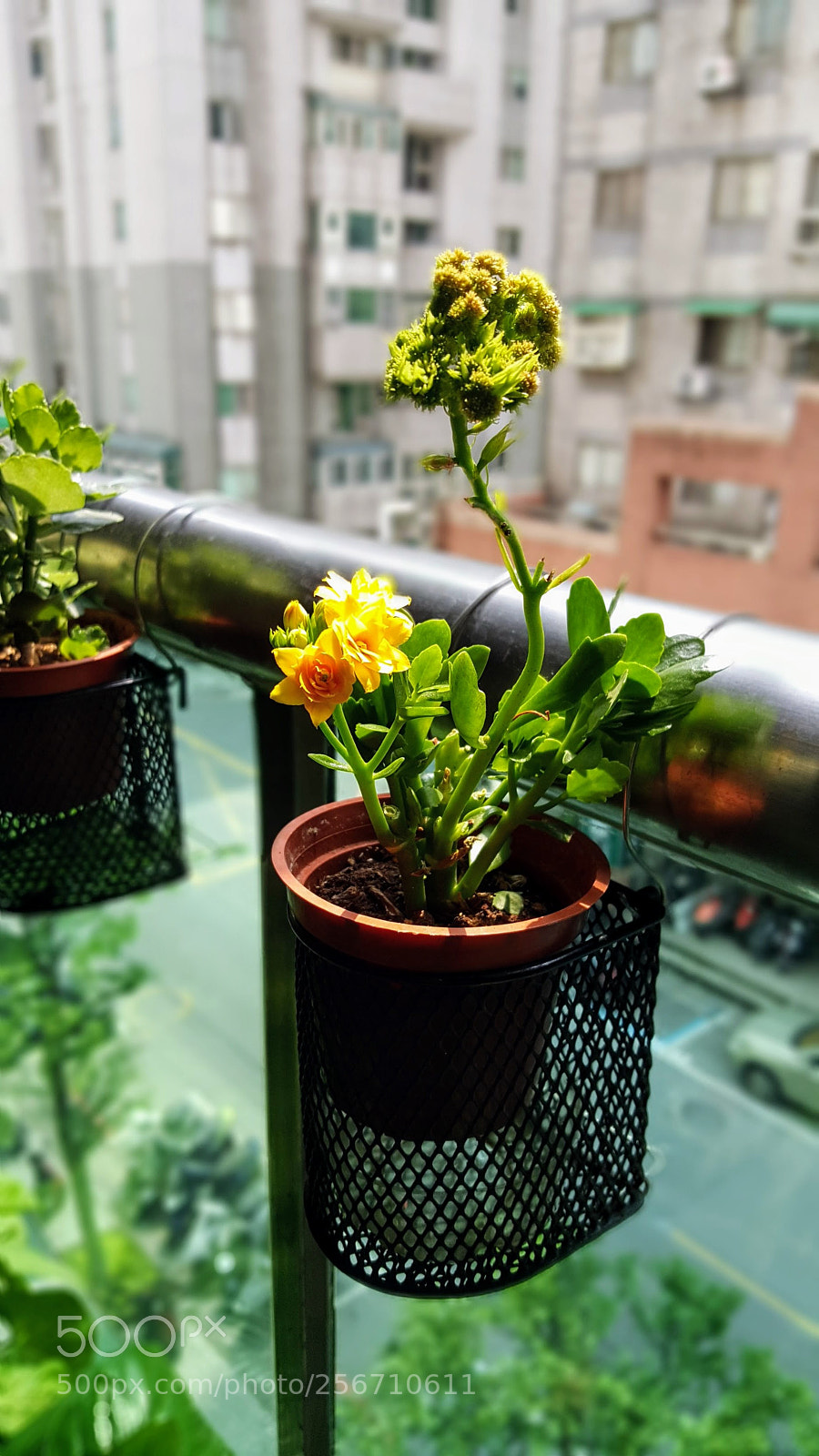 Samsung Galaxy Note5 sample photo. 20180506_133226.jpg photography