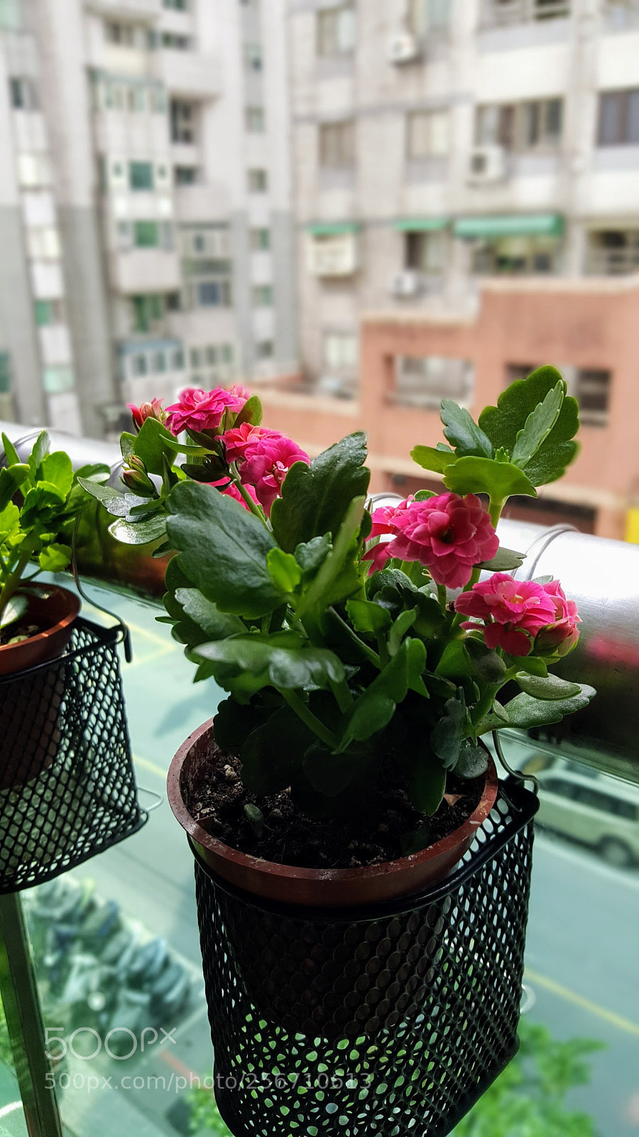 Samsung Galaxy Note5 sample photo. 20180506_133242.jpg photography