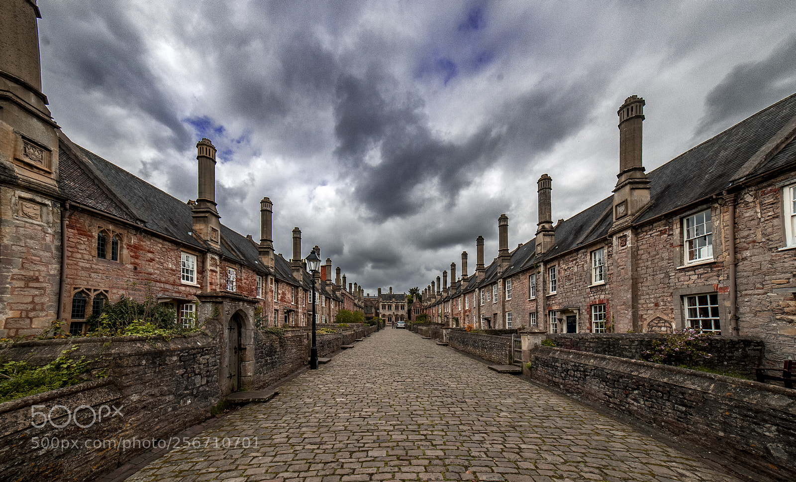 Nikon D610 sample photo. Vicar's close photography