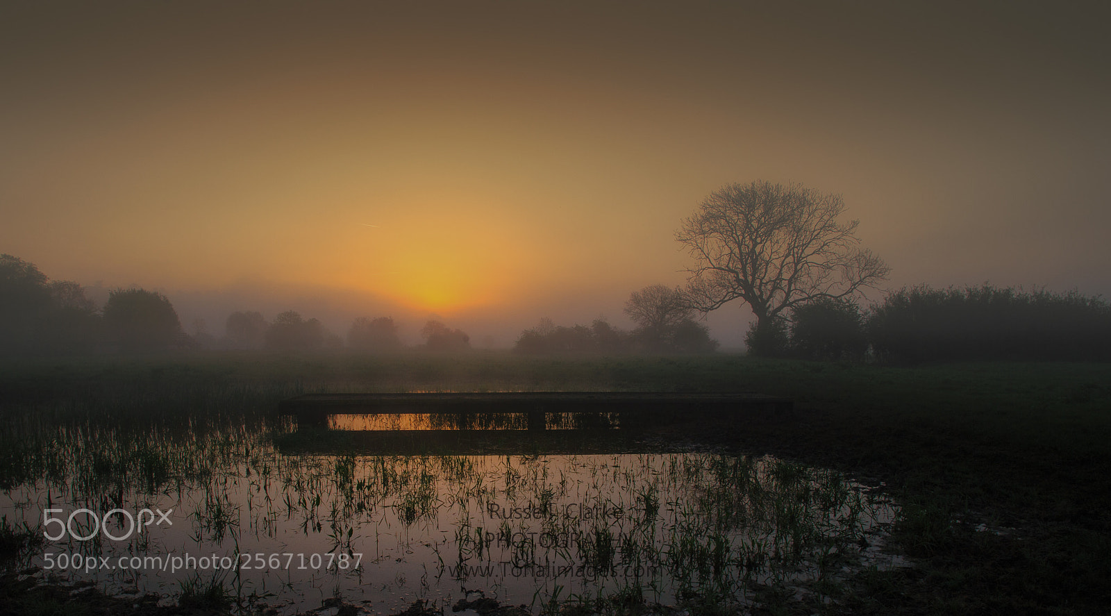 Nikon D700 sample photo. Morning has broken photography
