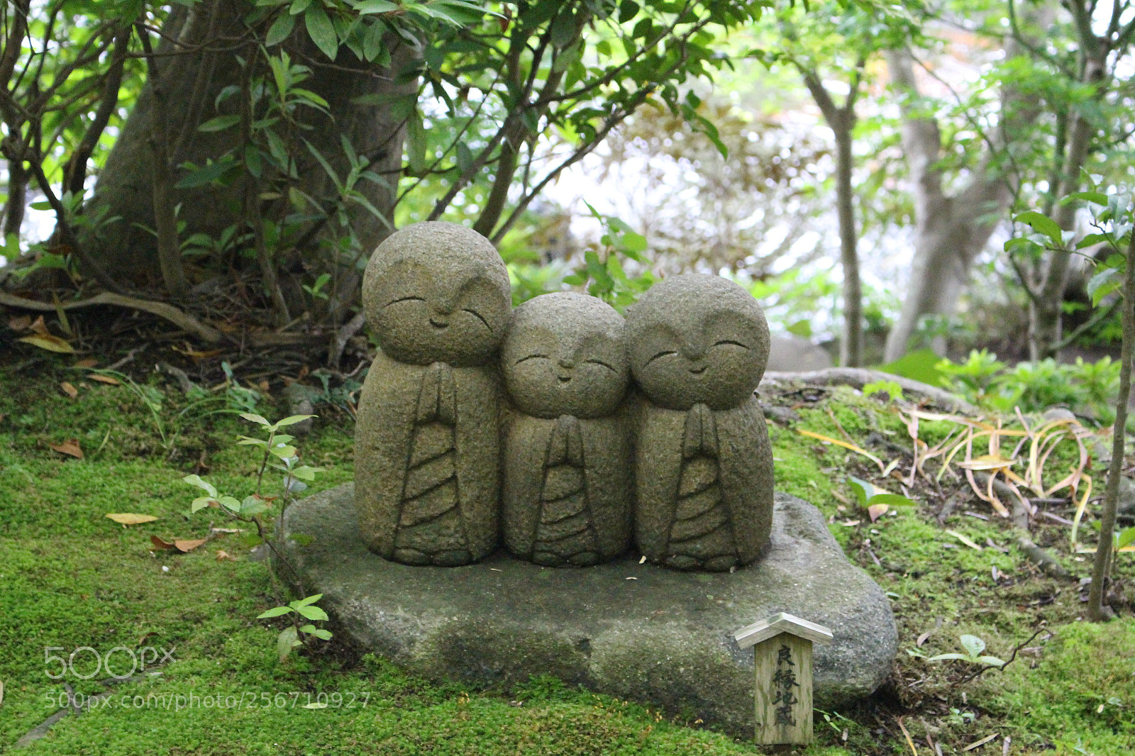 Canon EOS 100D (EOS Rebel SL1 / EOS Kiss X7) sample photo. Img photography