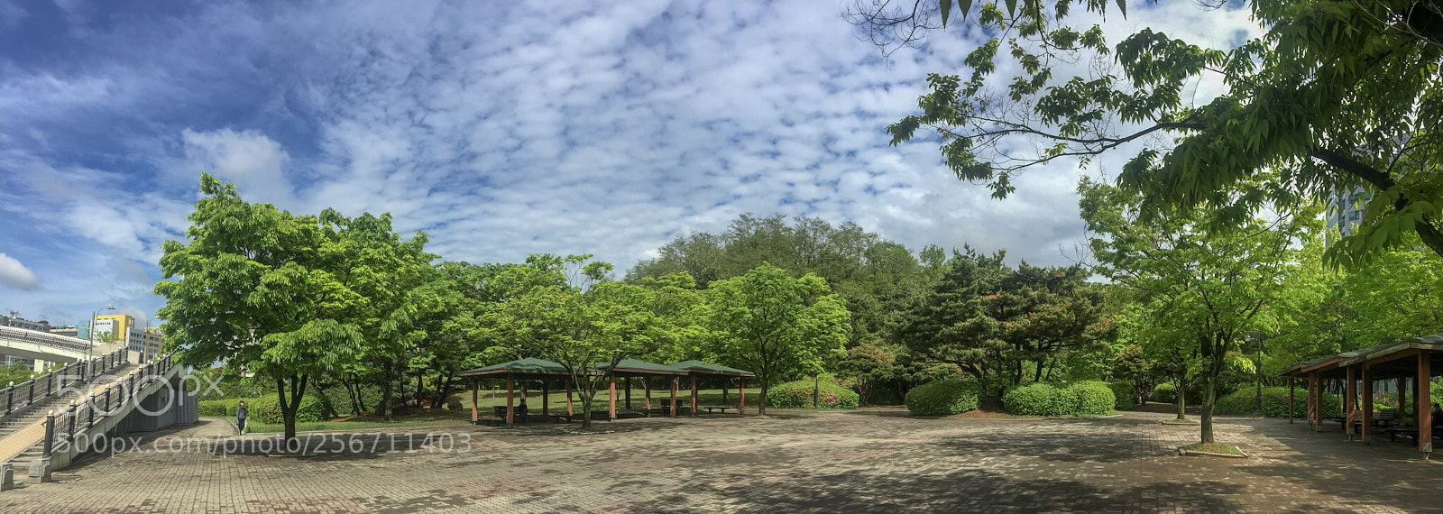 Apple iPhone 6 Plus sample photo. Spring photography