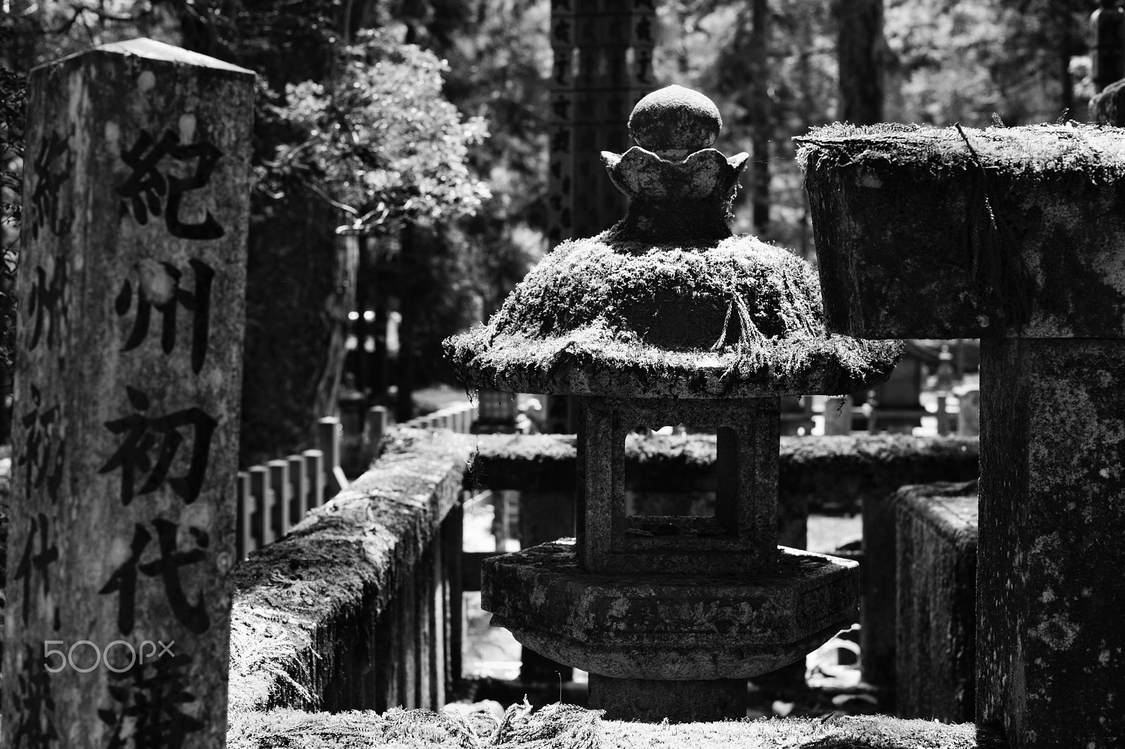 Leica M-Monochrom sample photo. Okuno-in at koyasan photography