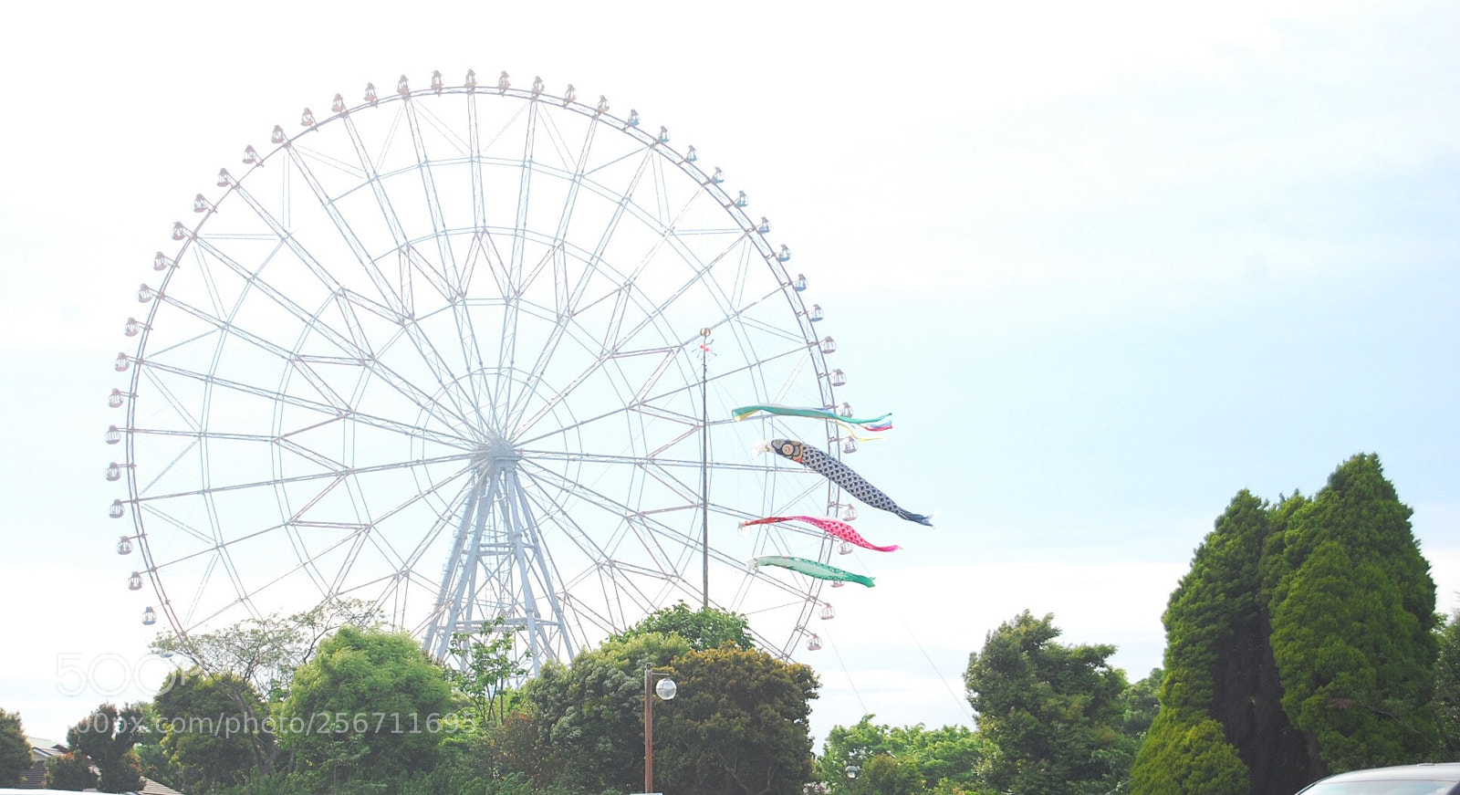 Nikon D40X sample photo. Untitled photography