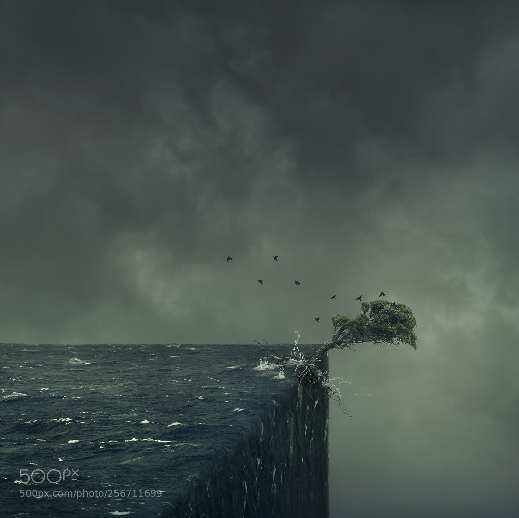 Sony a7R sample photo. On the edge photography