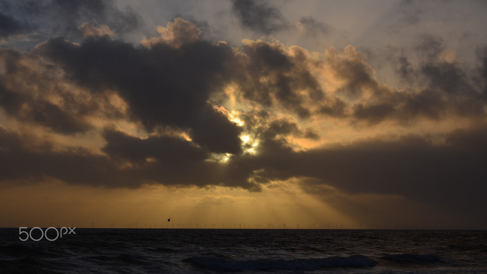Nikon D5100 sample photo. Sunset lights photography
