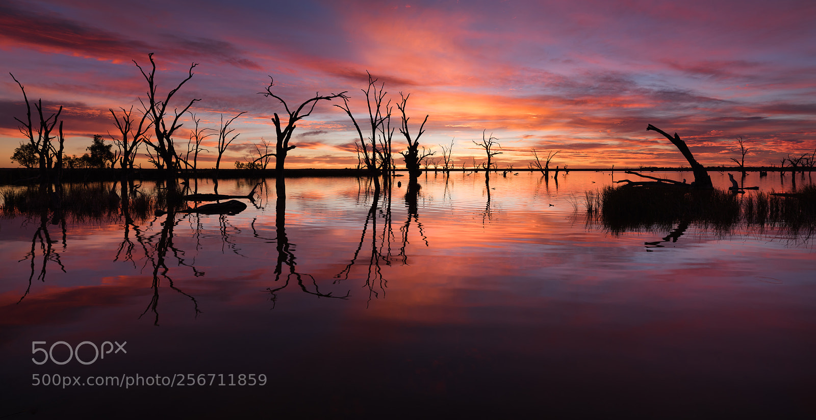 Nikon D810 sample photo. Lake bonney at dawn 2 photography