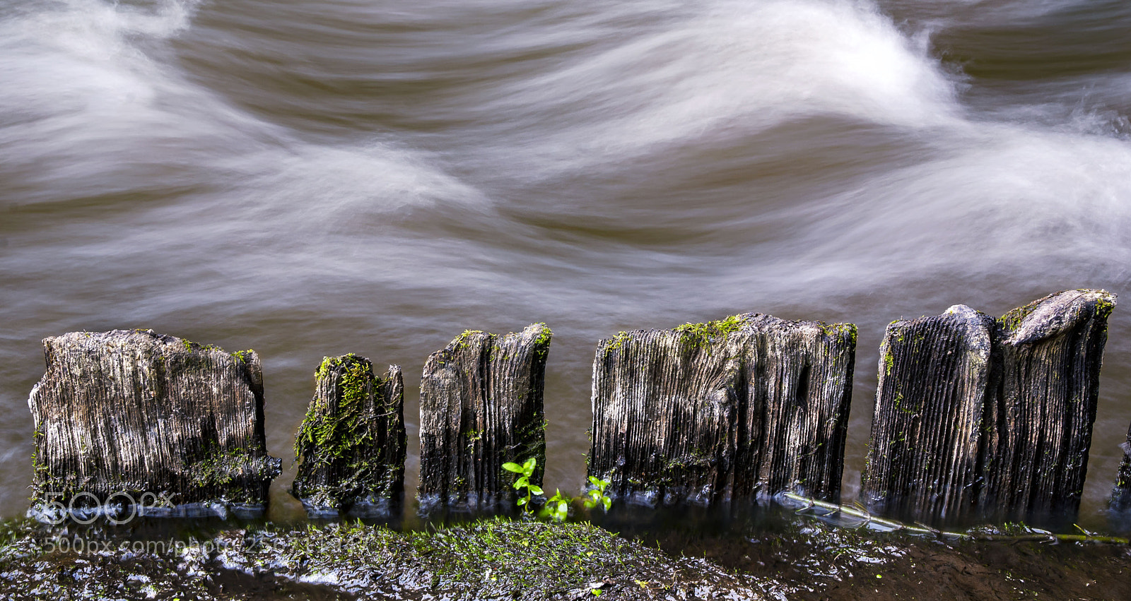 Nikon D80 sample photo. Planks photography
