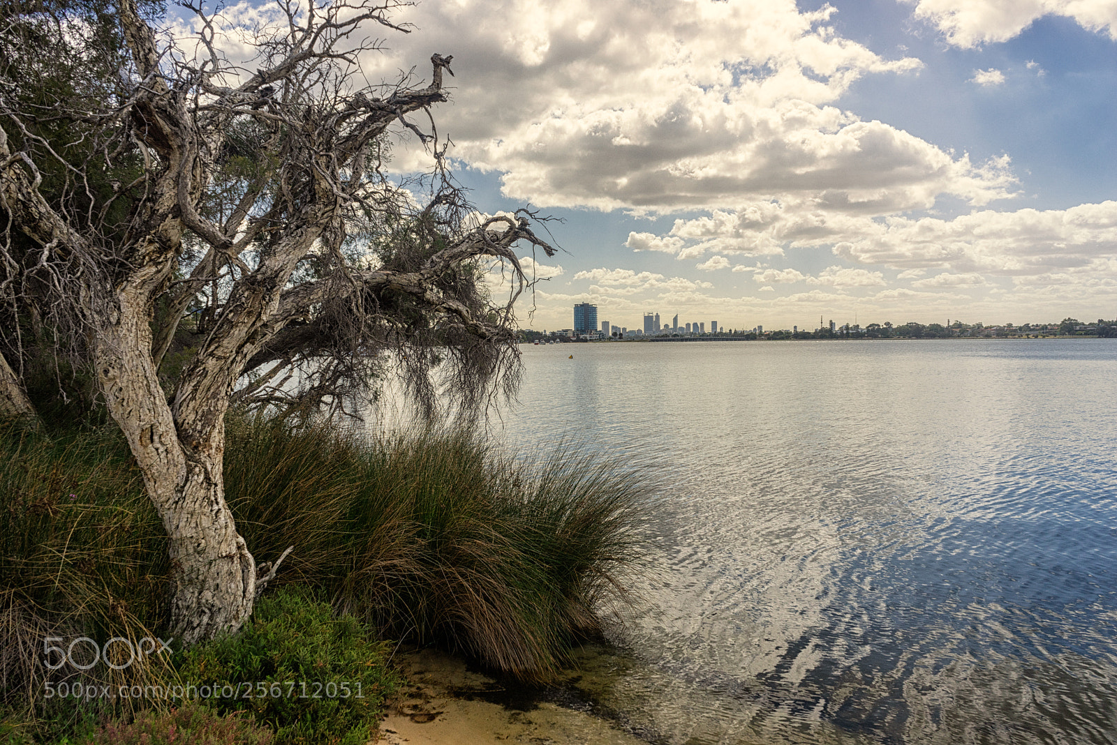 Sony a7R sample photo. Deep water point walk photography