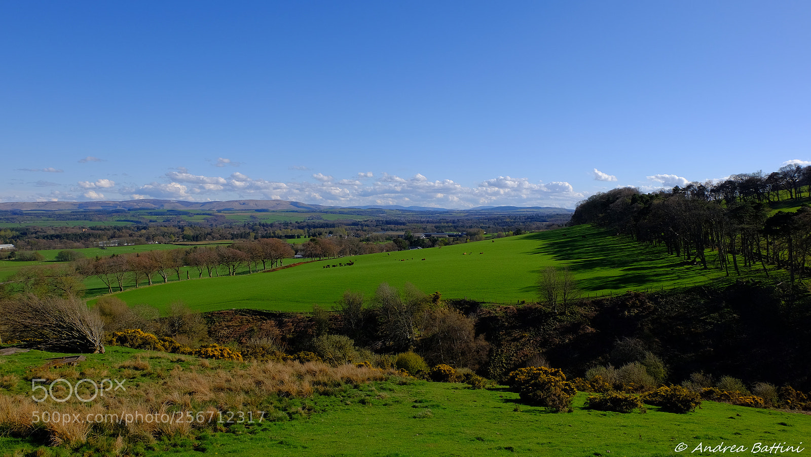 Fujifilm X-T10 sample photo. The colorful pentlands... photography