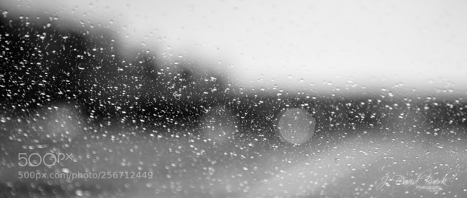 Canon EOS-1D X sample photo. Scared to be lonely photography
