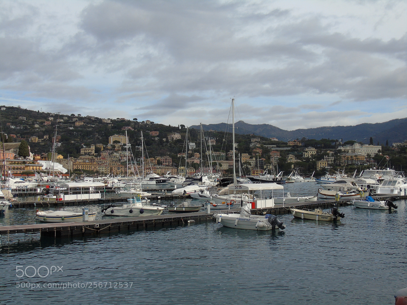 Sony Cyber-shot DSC-H400 sample photo. Small port photography