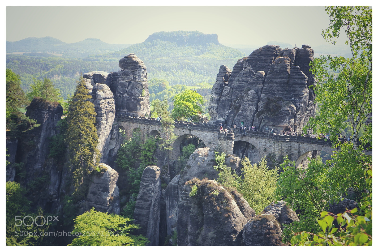 Canon EOS 80D sample photo. Basteibrücke photography