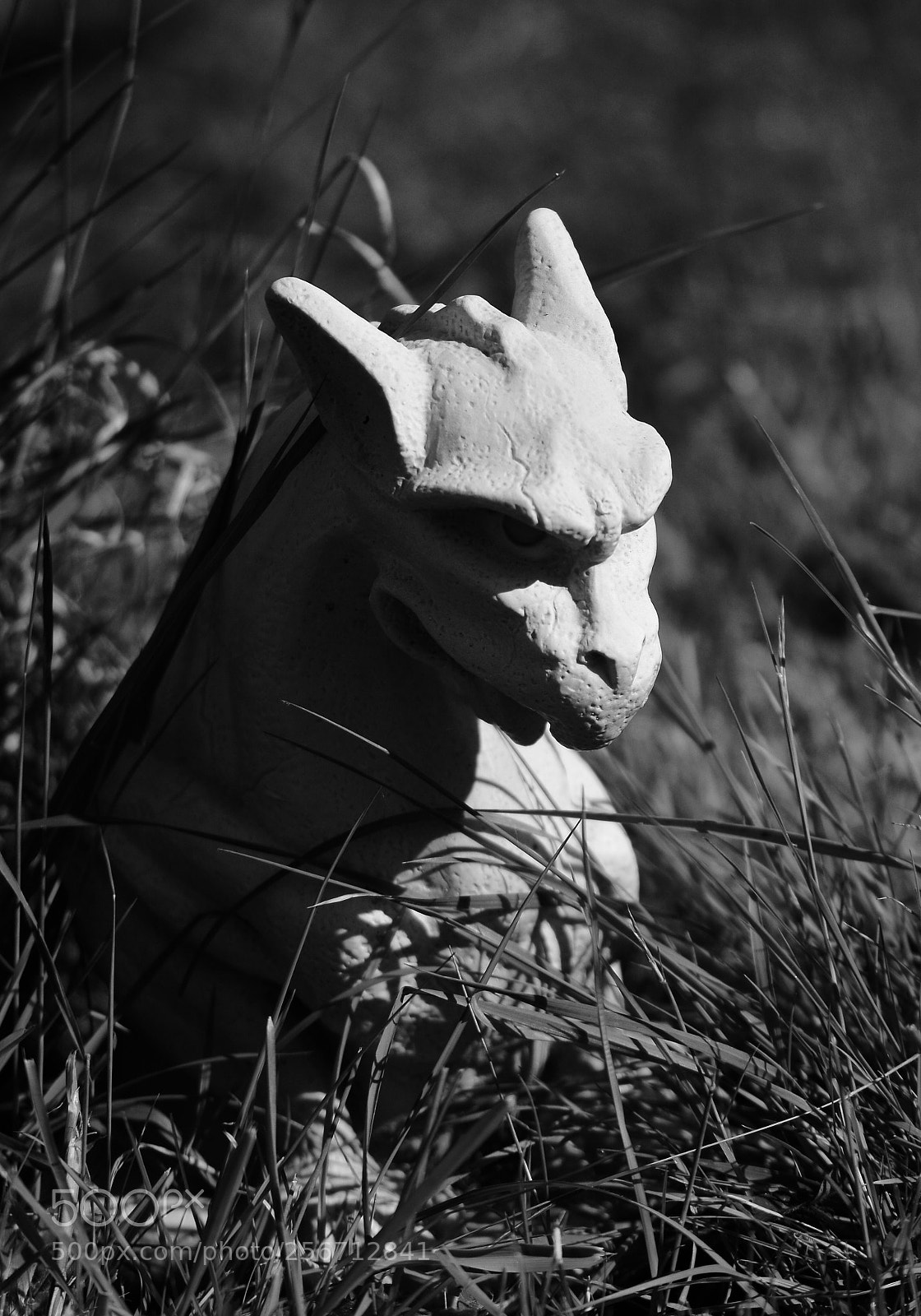 Nikon D5200 sample photo. There be dragons at photography