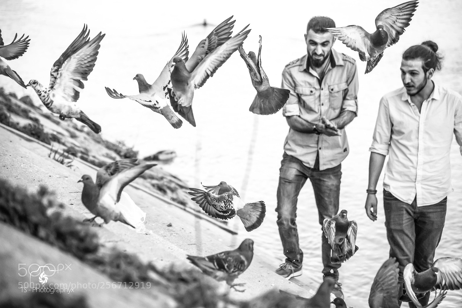 Nikon D750 sample photo. Untitled photography