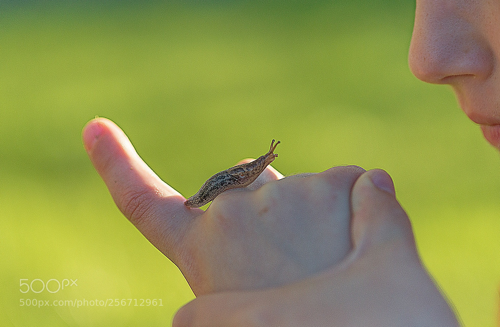 Nikon D600 sample photo. Hi photography