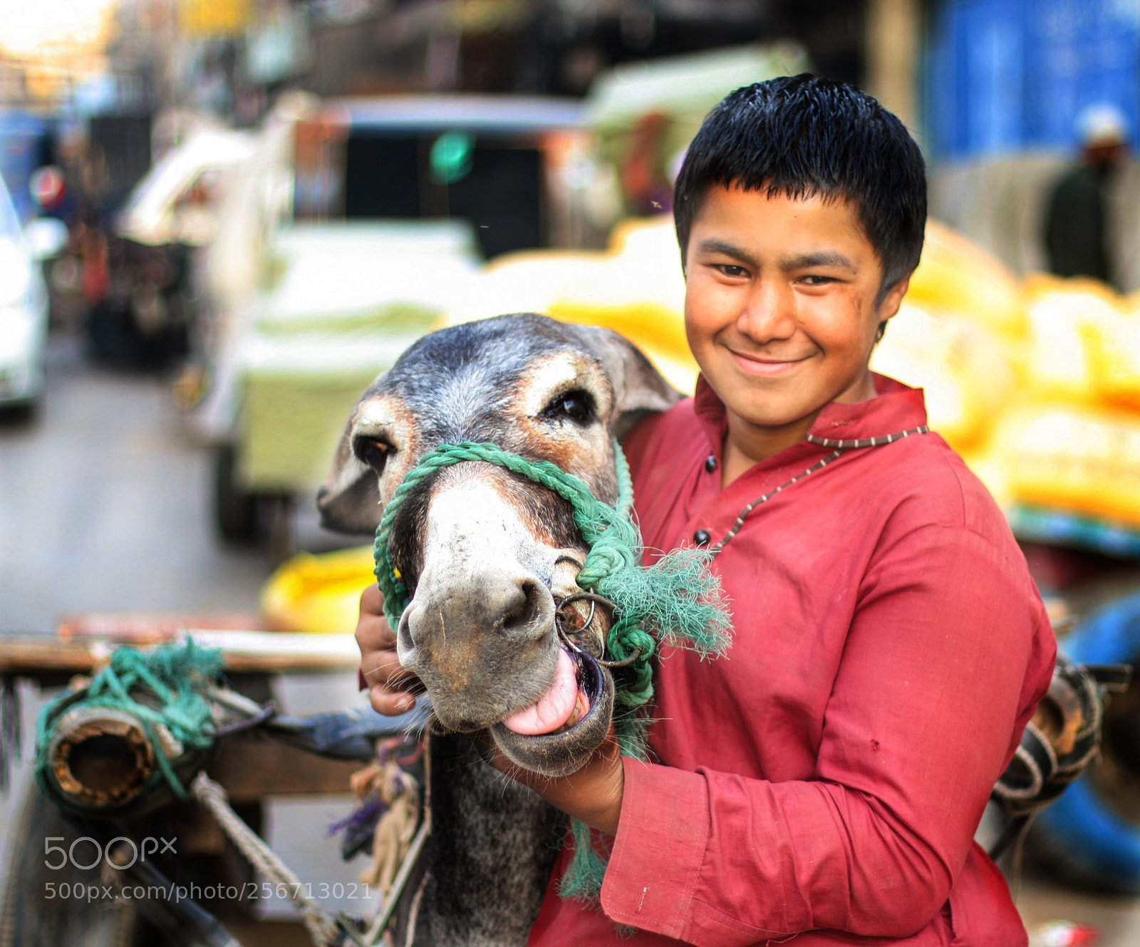 Canon EOS 70D sample photo. Untitled photography
