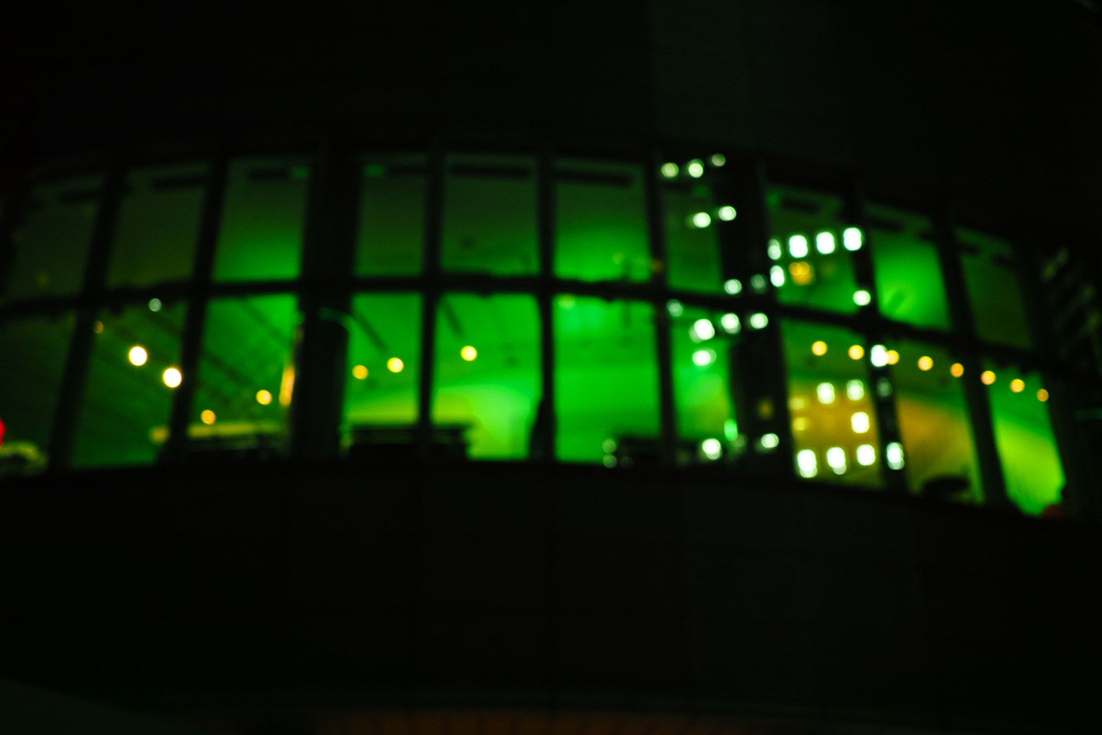 Sigma DP2 Merrill sample photo. Green photography