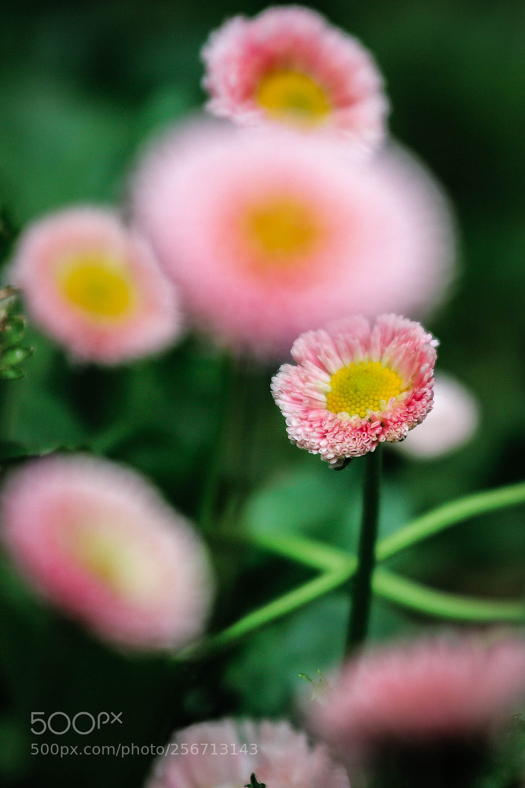 Canon EOS 6D Mark II sample photo. Lejos y cercas photography