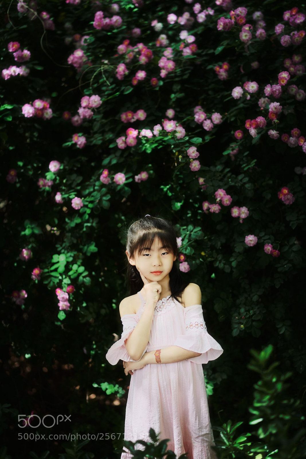 Nikon D800 sample photo. My girl in rosebush photography