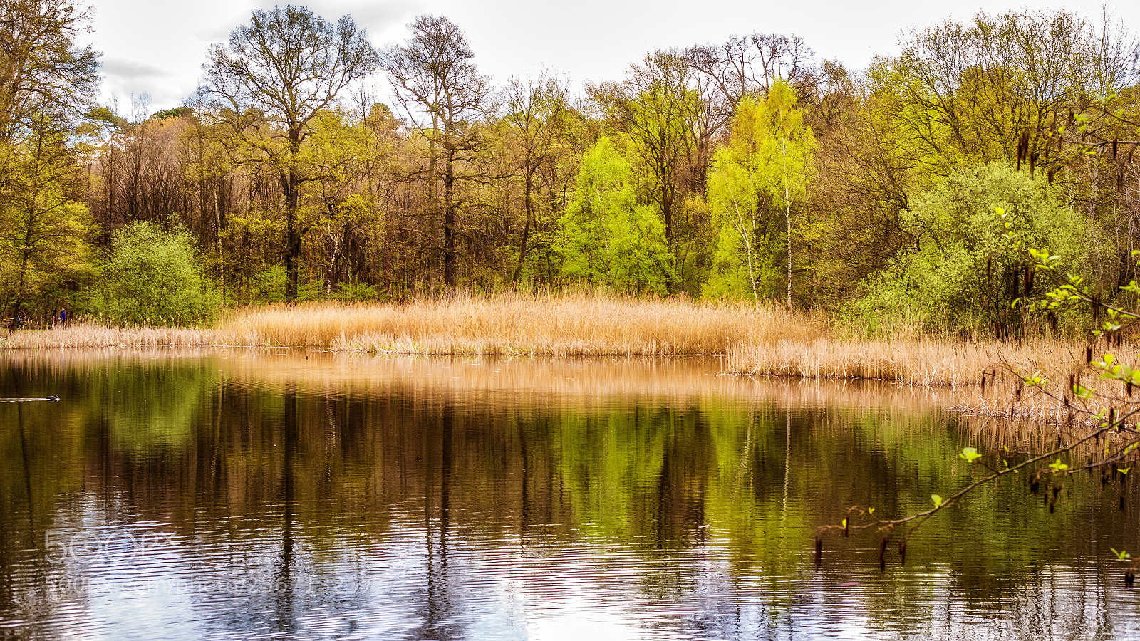 Canon EOS 6D sample photo. Reflection  photography