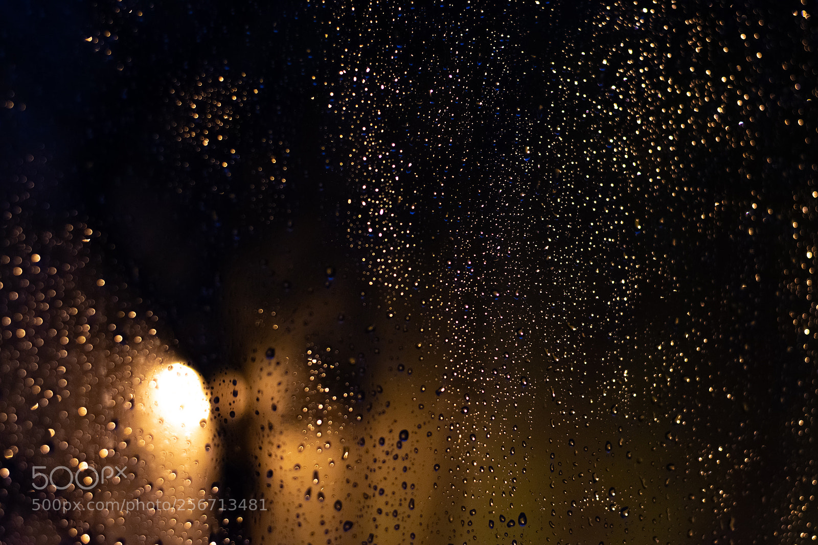 Nikon D3400 sample photo. Rain drops photography