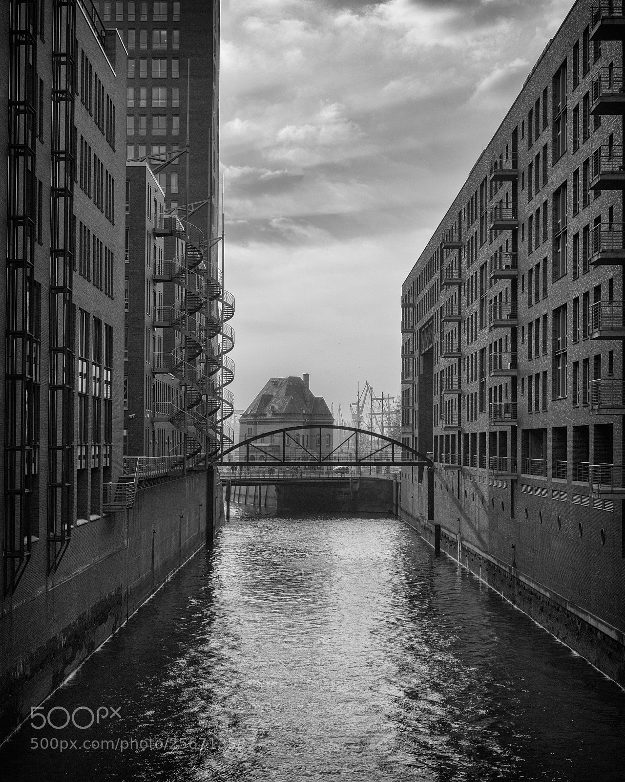 Sony a7 sample photo. A grey day photography
