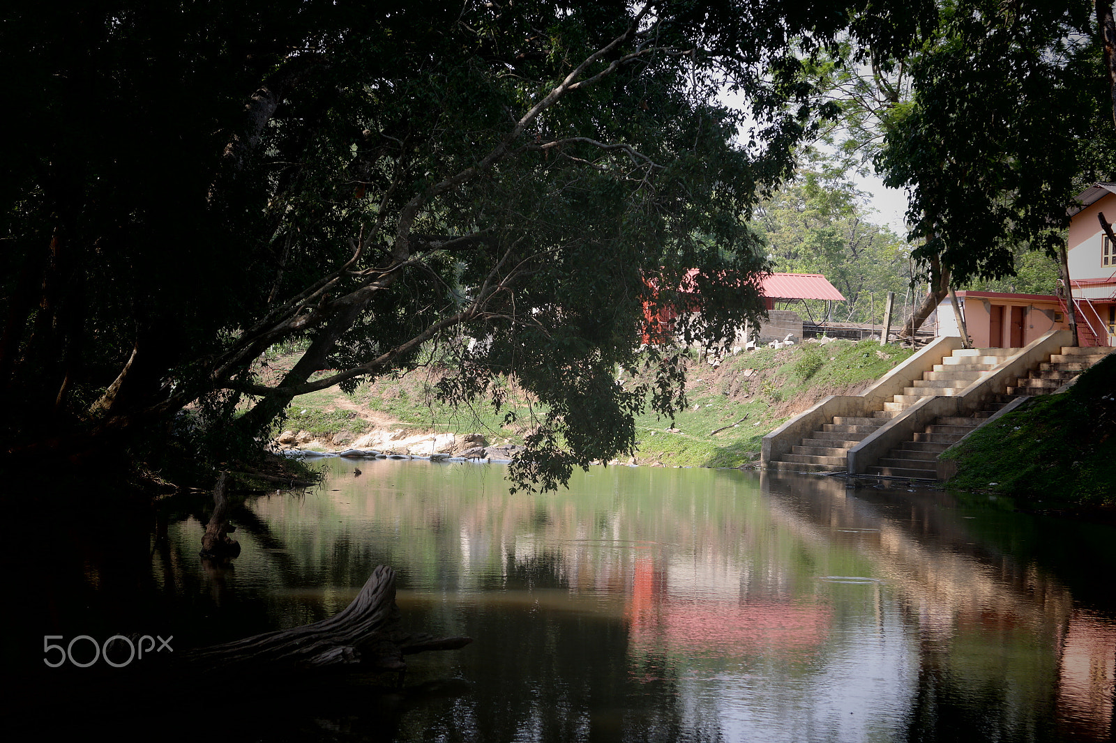 Samsung NX2000 sample photo. Muthanga wild life santurary photography