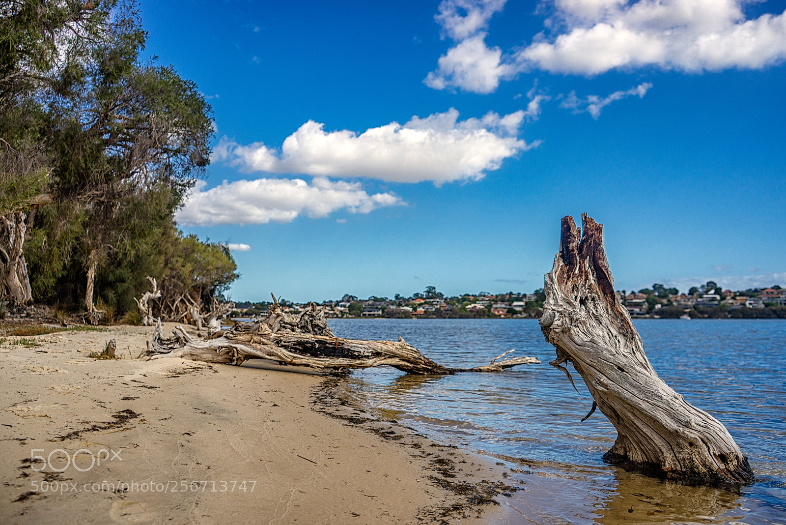 Sony a7R sample photo. Deep water point walk photography