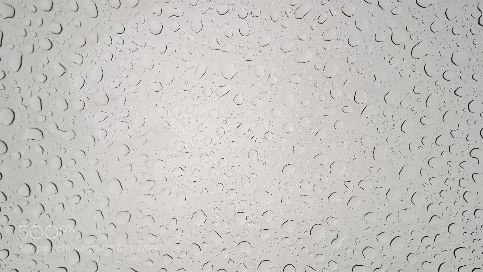 Samsung Galaxy S8 sample photo. Rainy glass of upside photography