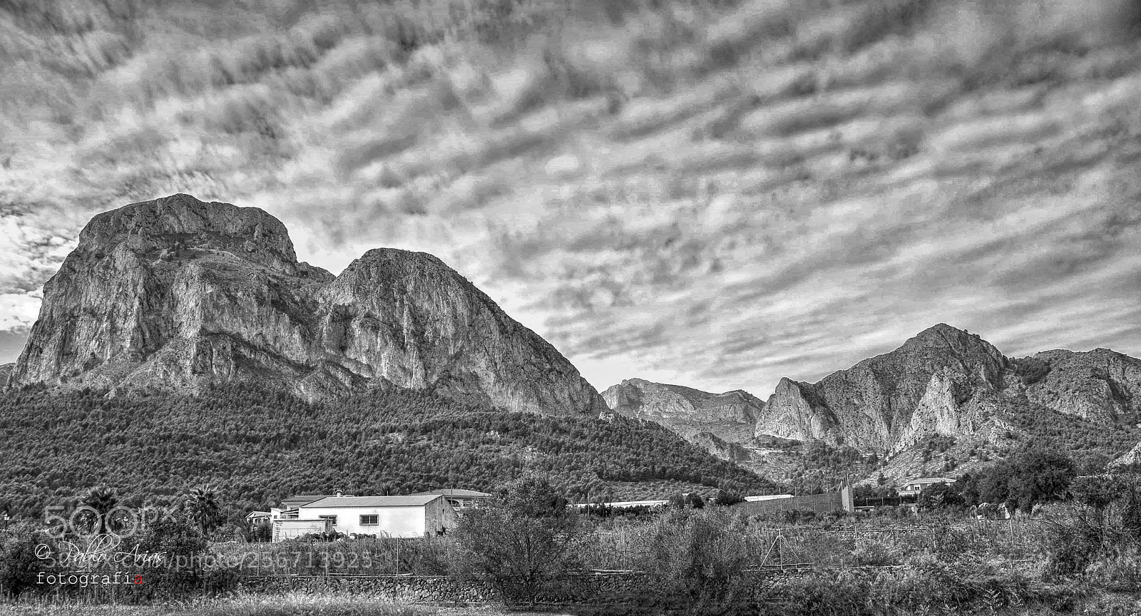 Nikon D300 sample photo. El león dormido photography