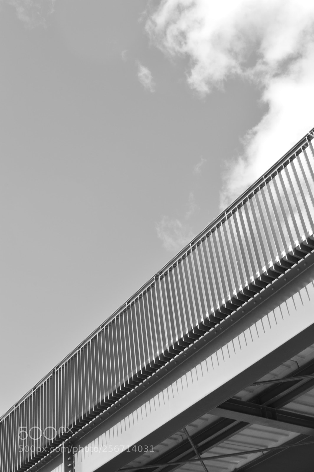 Nikon D3200 sample photo. Passerelle photography