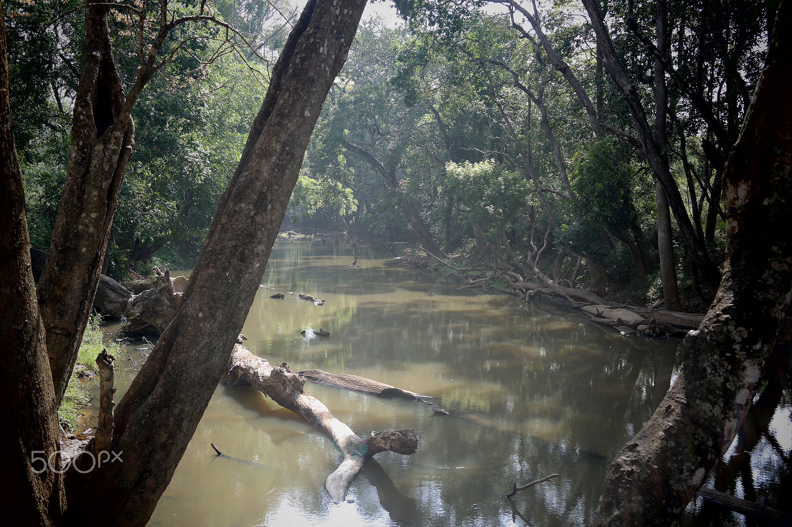 Samsung NX2000 sample photo. Muthanga wild life santurary photography
