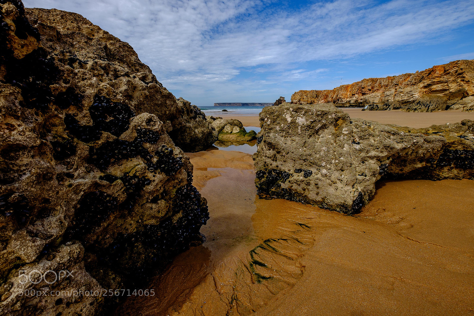 Fujifilm X-T1 sample photo. Rochas com mexilhões photography