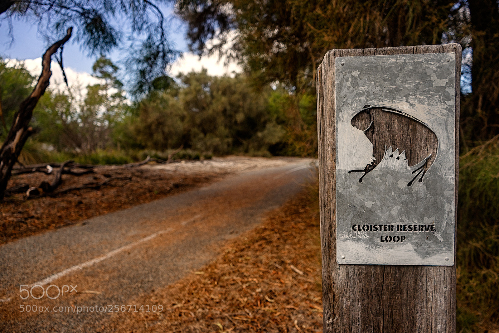 Sony a7R sample photo. Deep water point walk photography