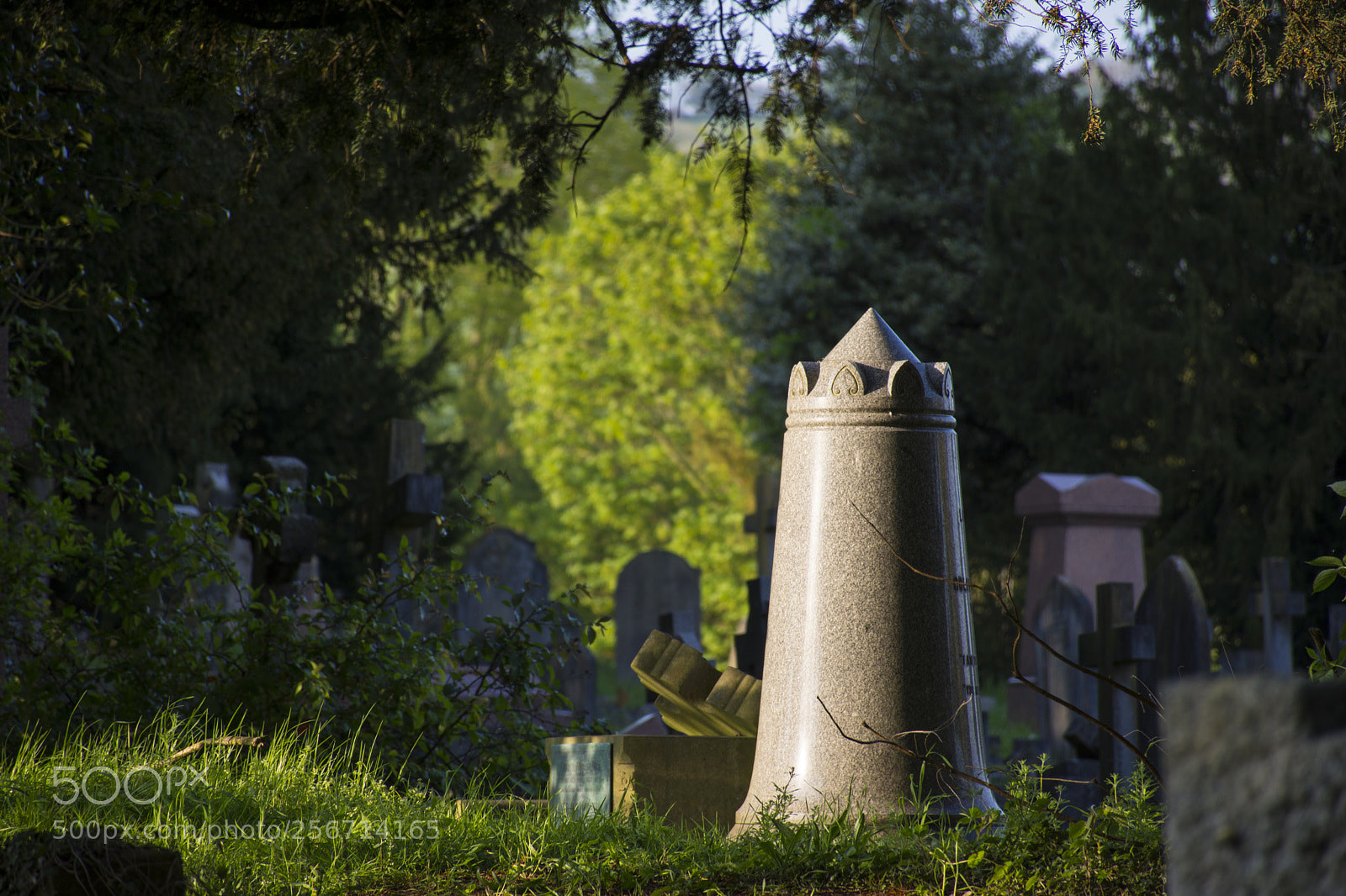 Nikon D7200 sample photo. Memorial photography