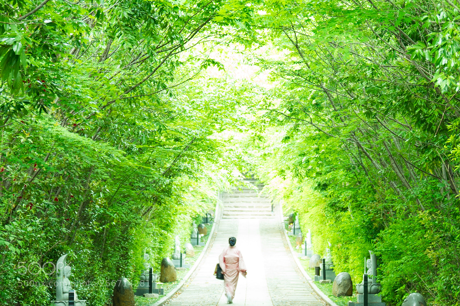 Sony a7 II sample photo. Greenery path photography