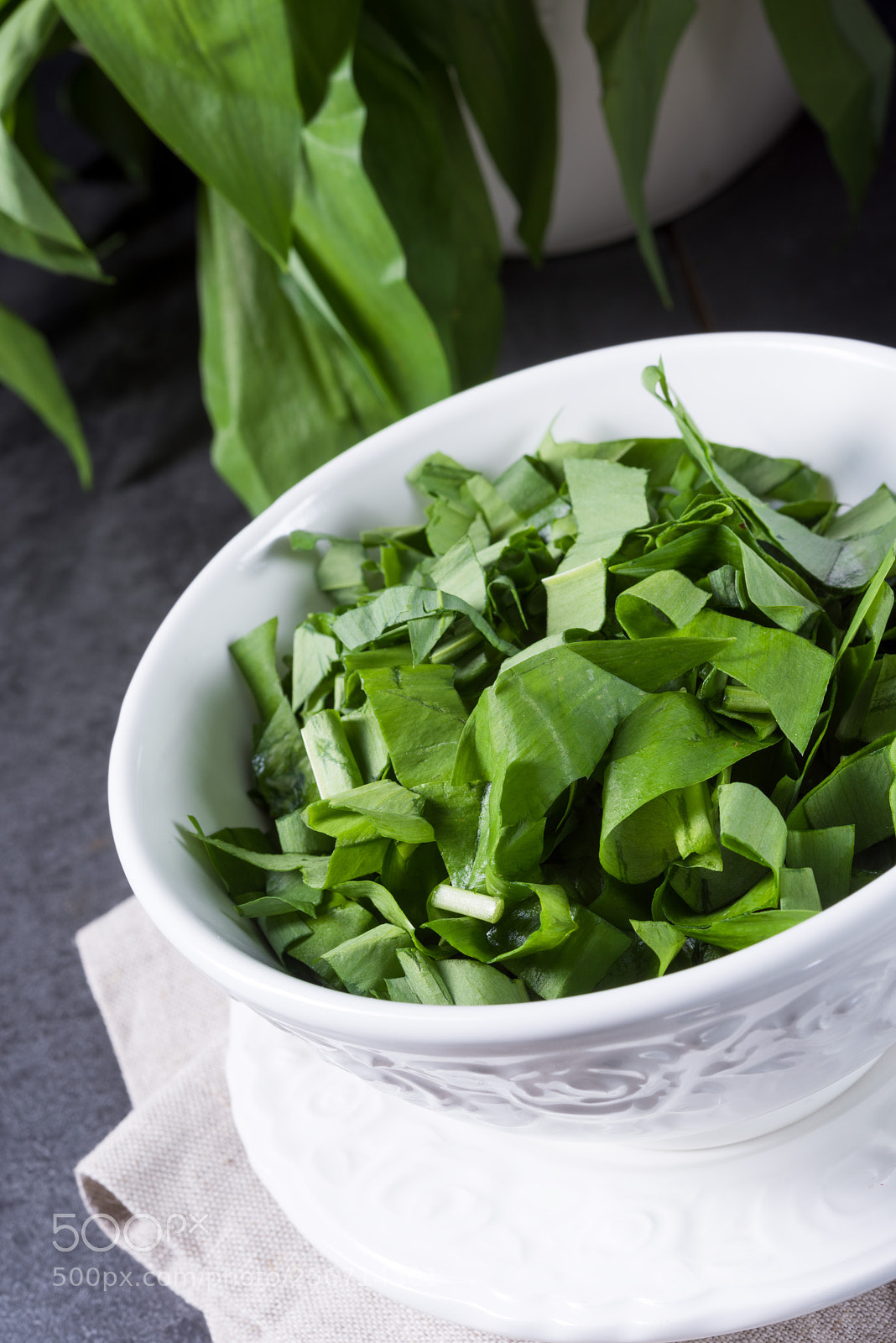 Nikon D810 sample photo. Wild garlic stripes for photography