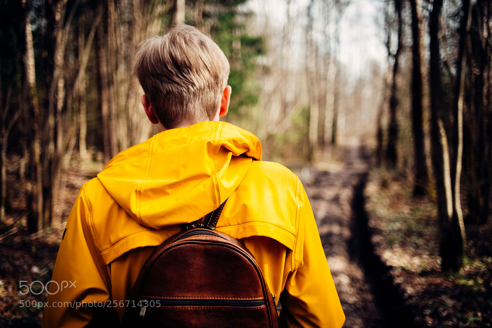 Nikon D610 sample photo. Желтый photography