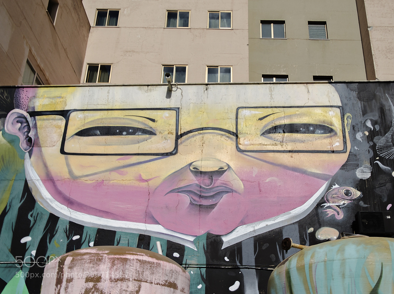 Nikon D7000 sample photo. Murales photography