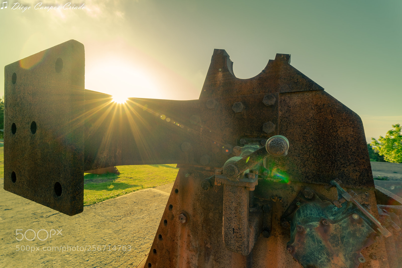 Sony a7 II sample photo. Dsc photography