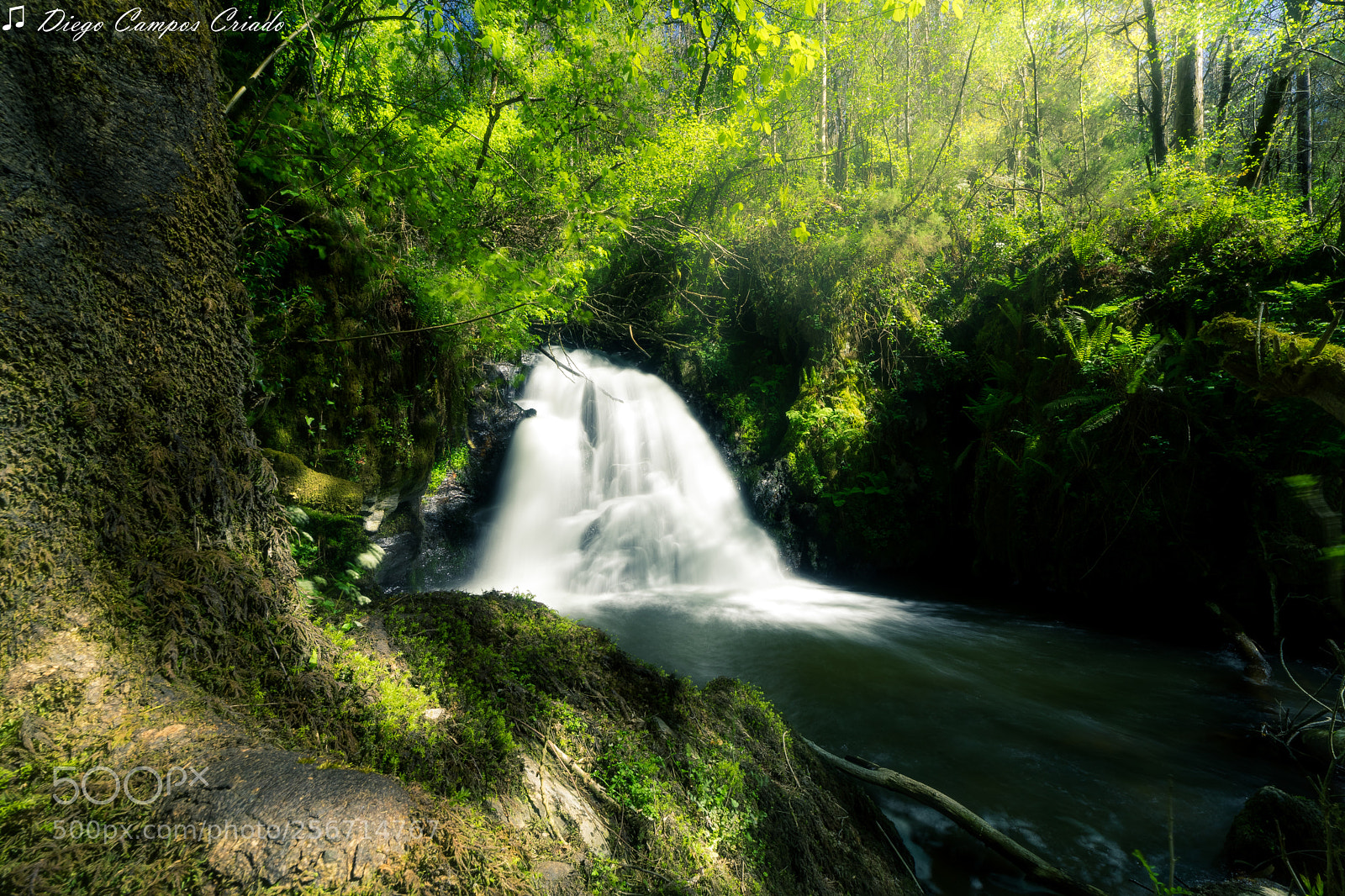 Sony a7 II sample photo. Dsc photography