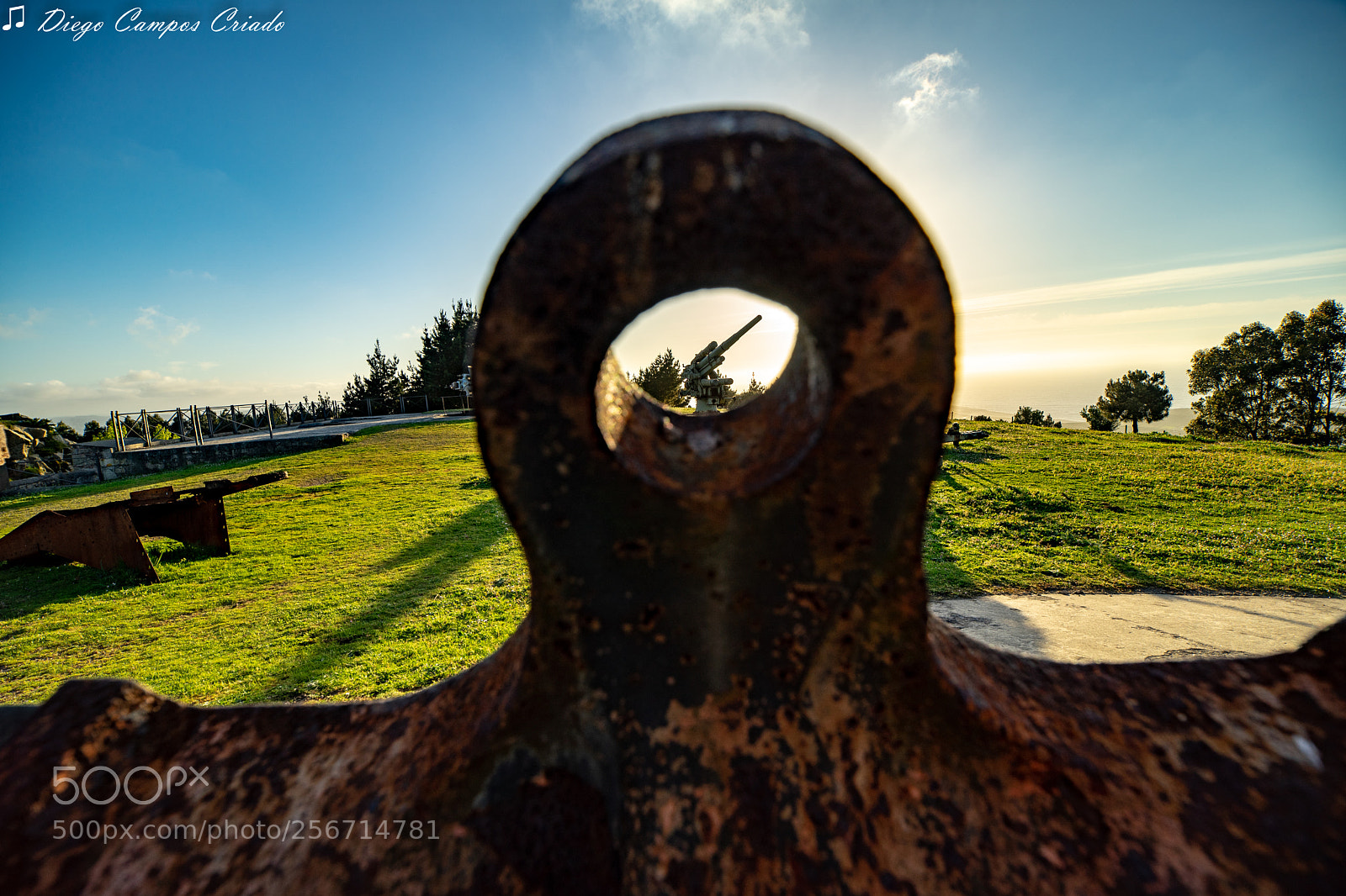 Sony a7 II sample photo. Dsc photography