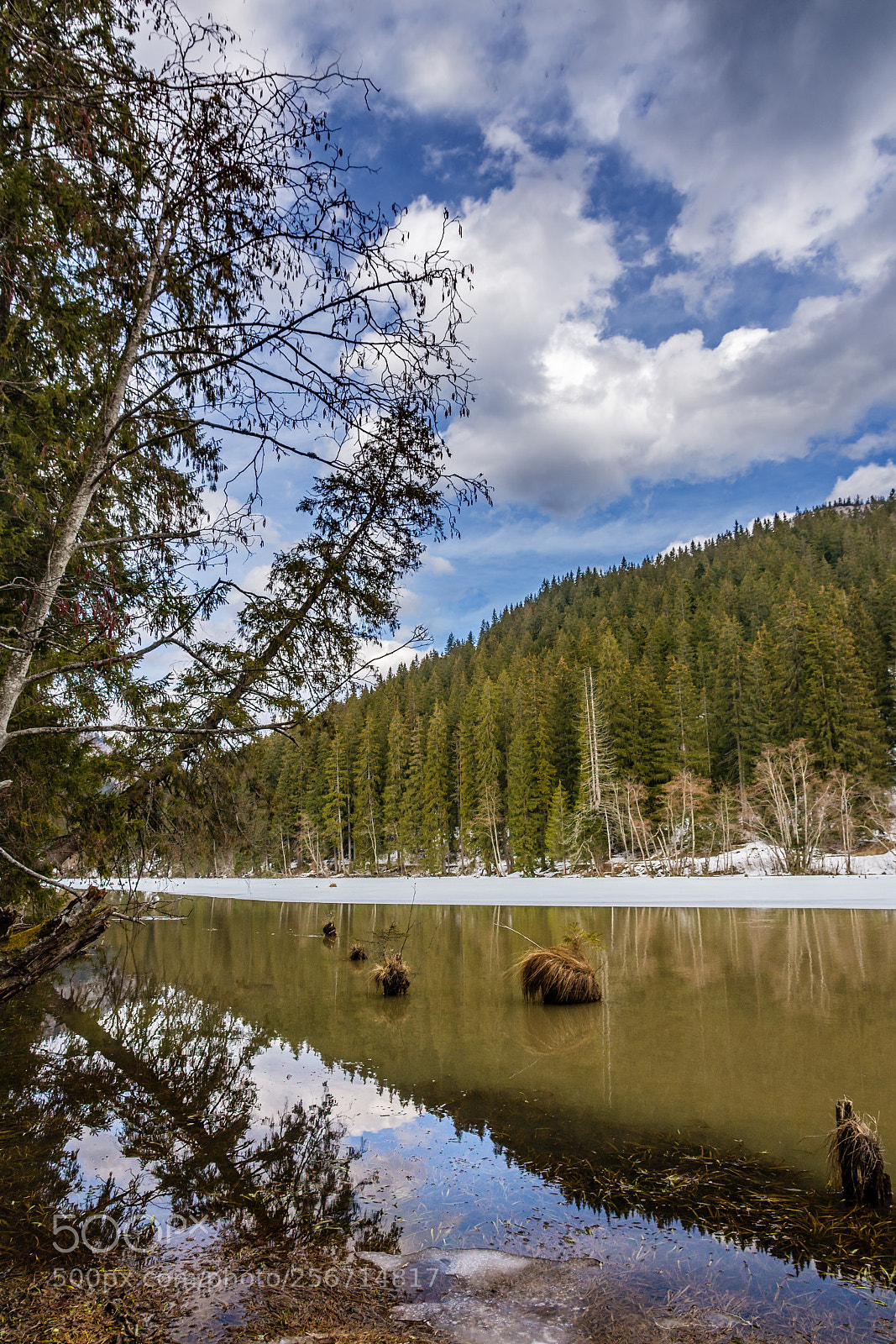 Nikon D7200 sample photo. Lake's reflections photography