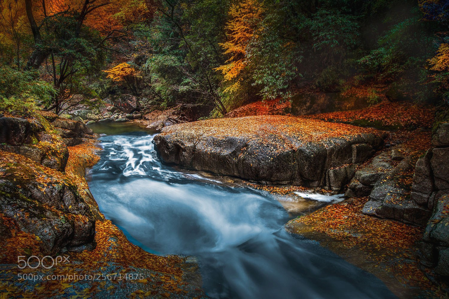 Canon EOS 5D Mark II sample photo. Profound autumn in mt photography