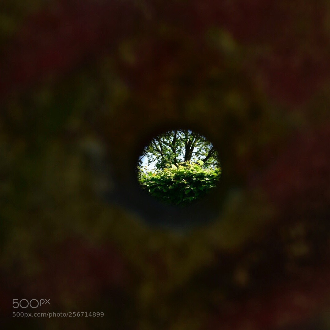 Nikon D750 sample photo. View through wall of photography