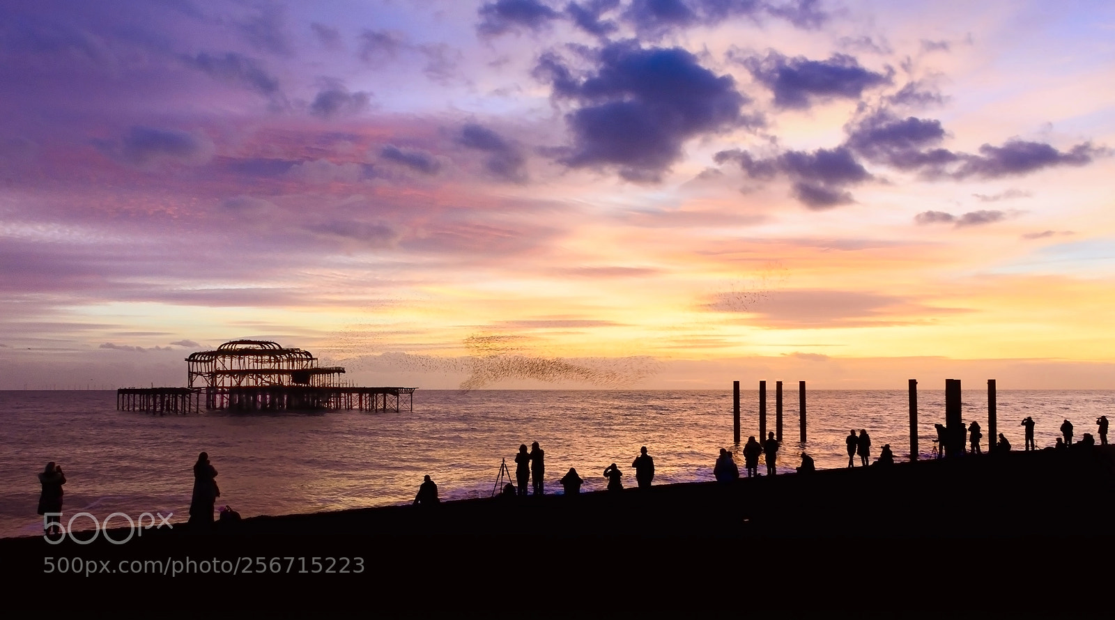 Nikon D7100 sample photo. Sunset in the brighton photography
