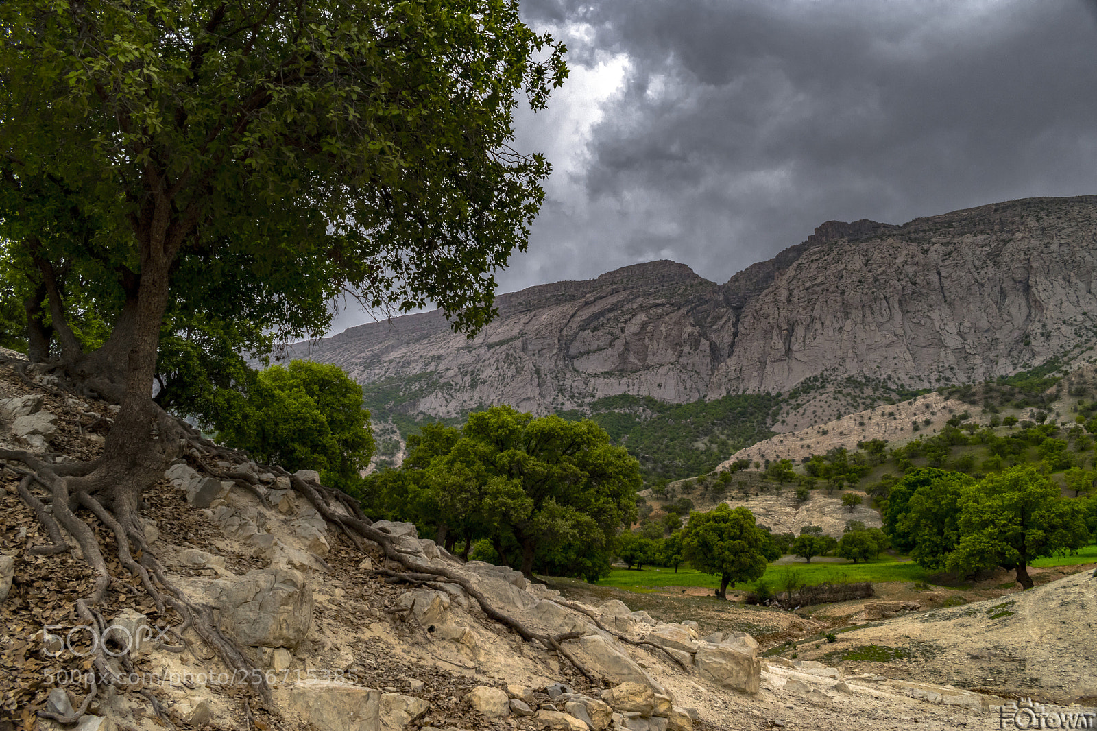 Nikon D5500 sample photo. Untitled photography