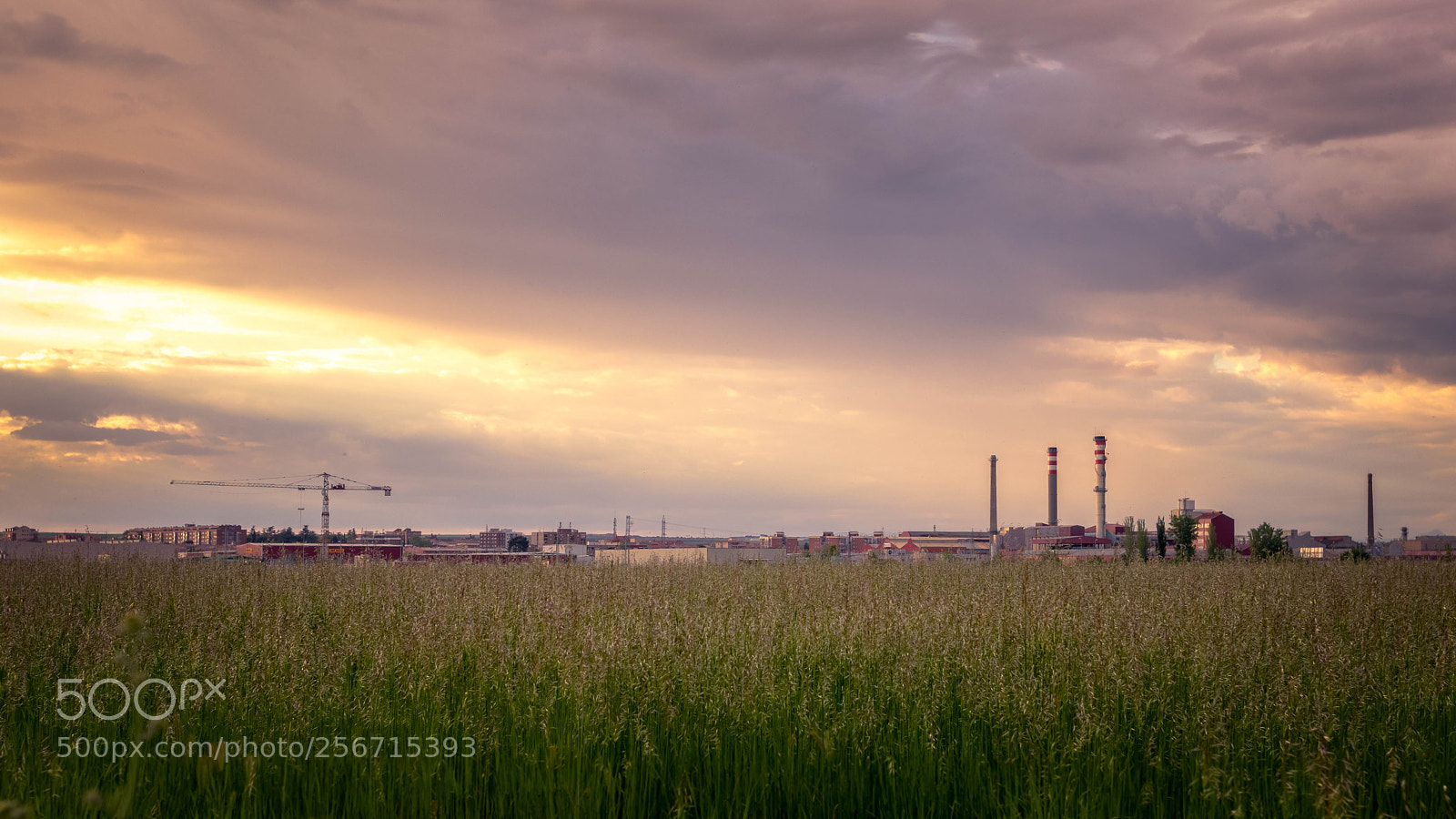 Canon EOS 80D sample photo. Urban fields photography