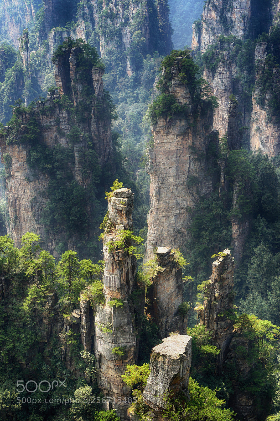 Sony a7 II sample photo. Zhangjiajie national forest park photography